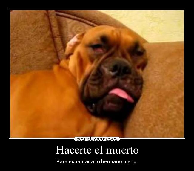 Hacerte el muerto -
