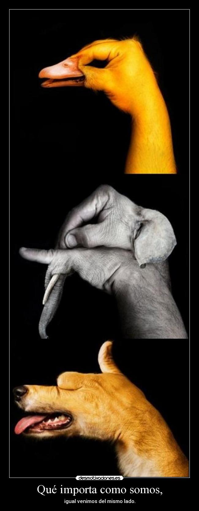 Qué importa como somos, - igual venimos del mismo lado.