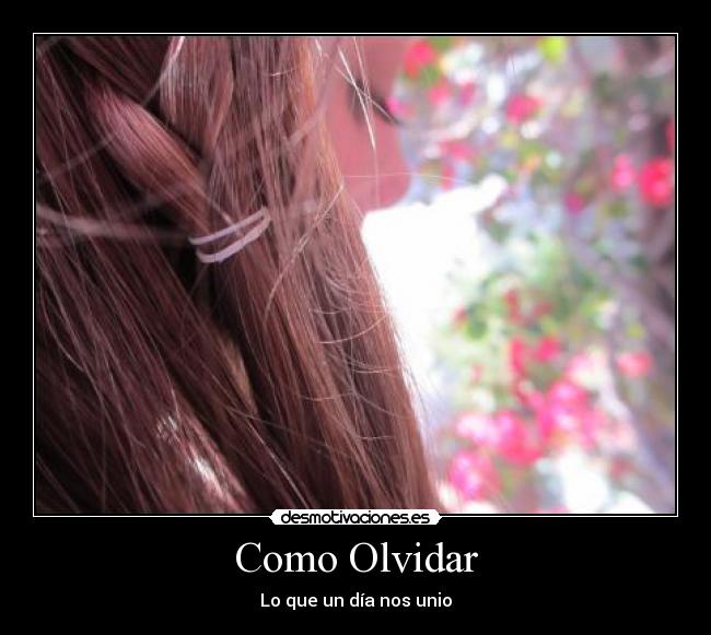 Como Olvidar - Lo que un día nos unio