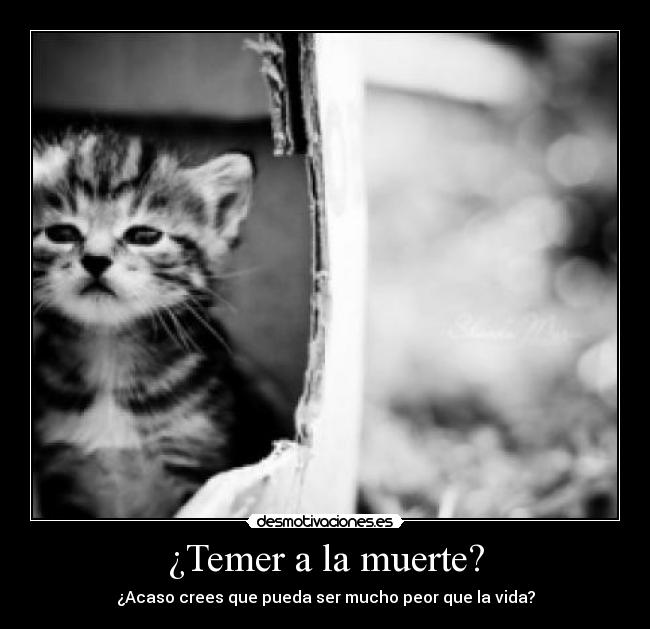 ¿Temer a la muerte? - 