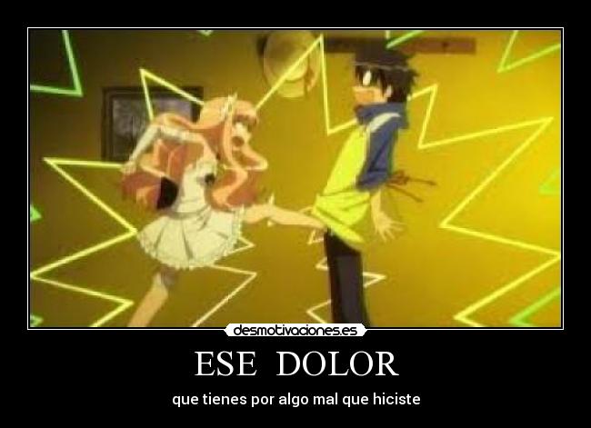 carteles dolor zero tsukaima desmotivaciones