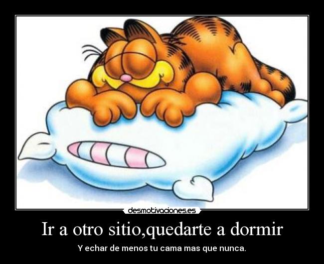 carteles dormir zzzzzzzzzzzzzzzzzzzzzzzzzzzzzzzzzzzzzzzzzzzzzzzzzzz desmotivaciones