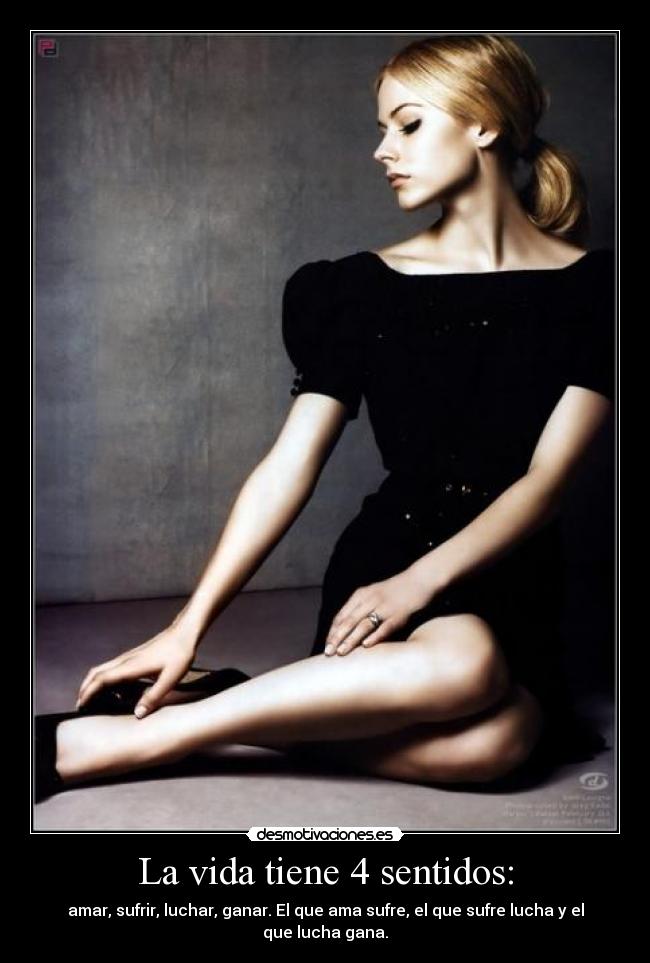 La vida tiene 4 sentidos: -