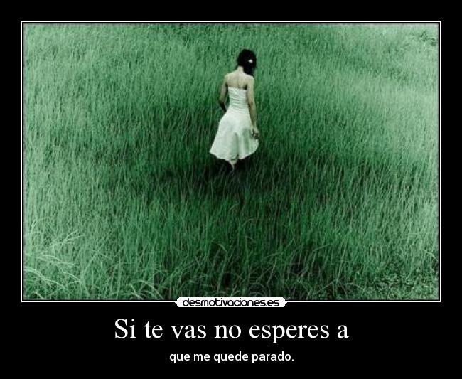 Si te vas no esperes a - que me quede parado.