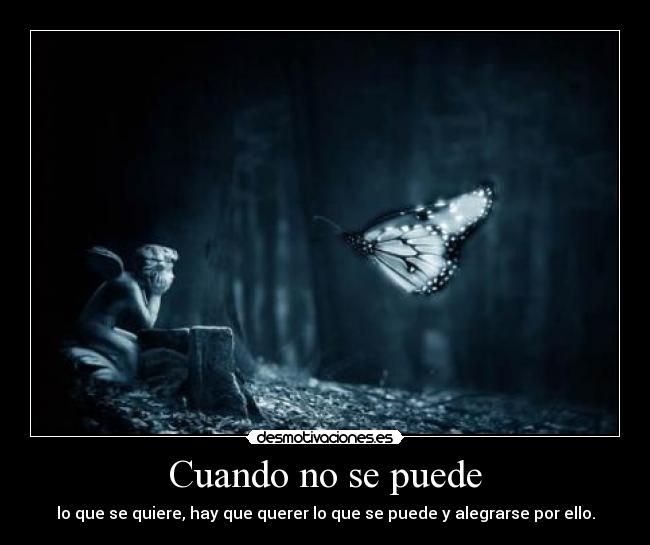 Cuando no se puede - lo que se quiere, hay que querer lo que se puede y alegrarse por ello.