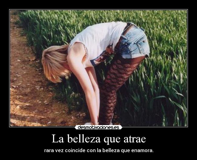 La belleza que atrae - rara vez coincide con la belleza que enamora.