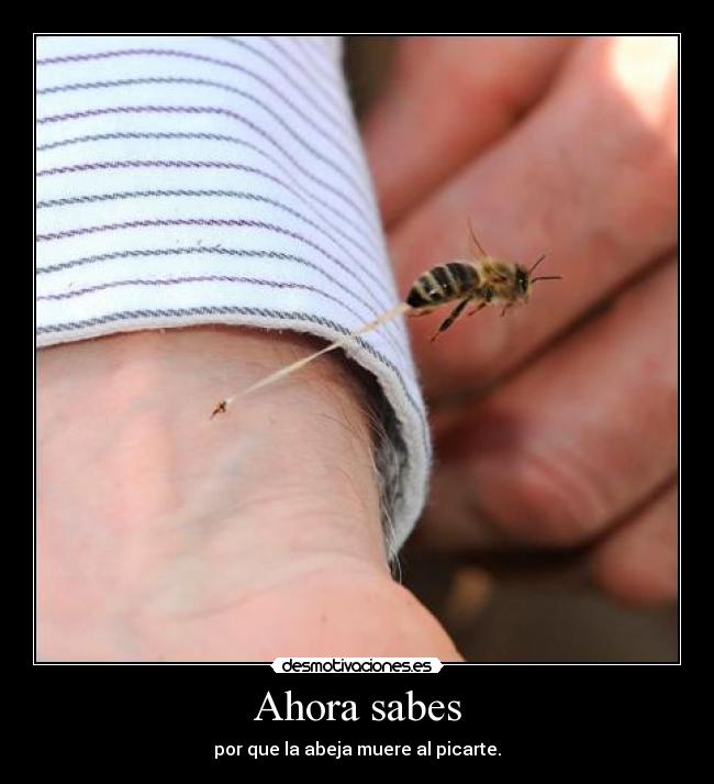 Ahora sabes - 