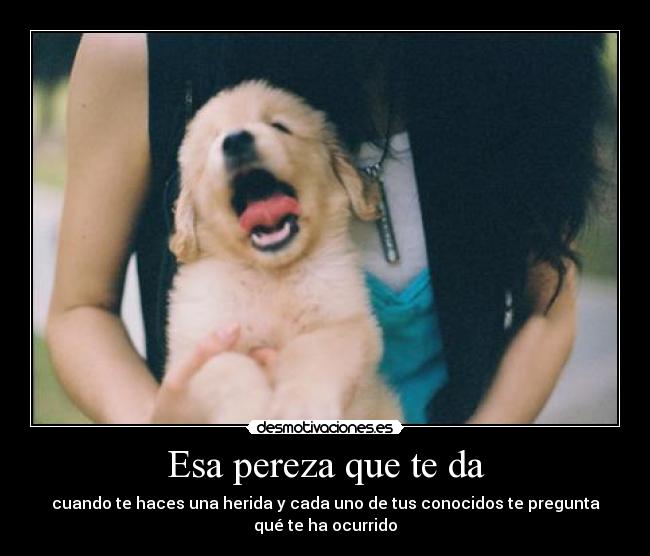 Esa pereza que te da - cuando te haces una herida y cada uno de tus conocidos te pregunta
qué te ha ocurrido