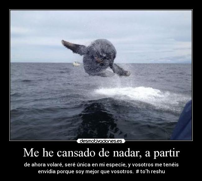 Me he cansado de nadar, a partir - de ahora volaré, seré única en mi especie, y vosotros me tenéis
envidia porque soy mejor que vosotros. # toh reshu