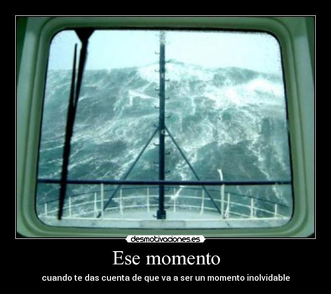 carteles ratoncillo desmotivaciones