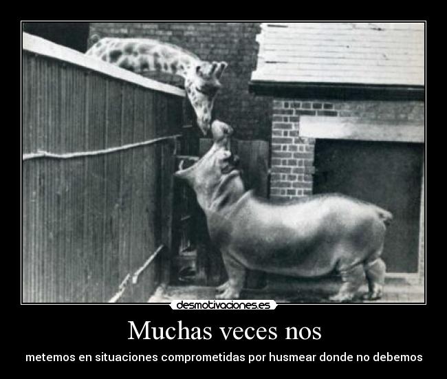 Muchas veces nos - metemos en situaciones comprometidas por husmear donde no debemos