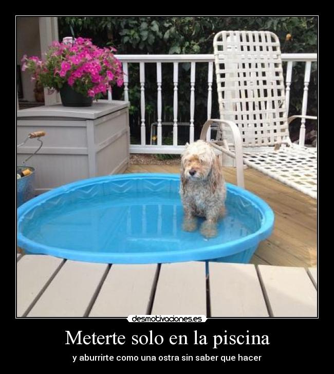 Meterte solo en la piscina - y aburrirte como una ostra sin saber que hacer