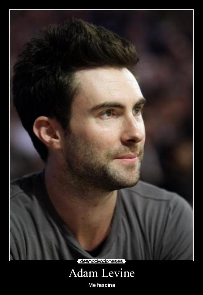 carteles adam levine desmotivaciones