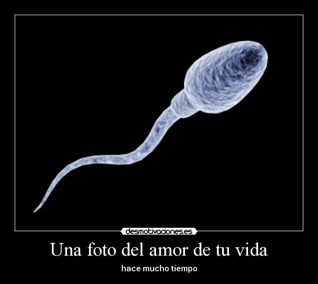 Una foto del amor de tu vida - 