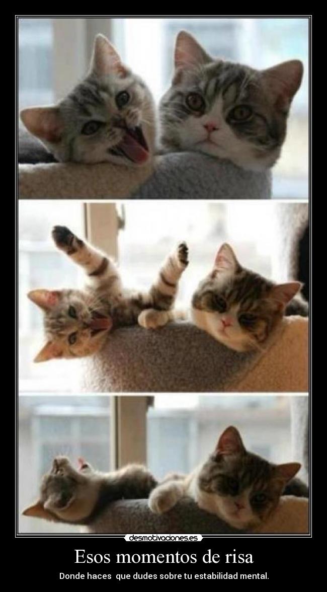 Esos momentos de risa - Donde haces que dudes sobre tu estabilidad mental.