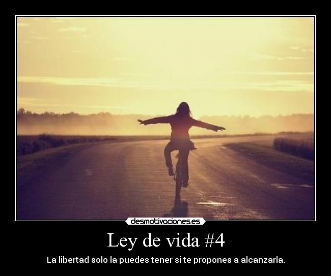 Ley de vida #4 - 