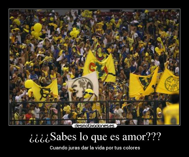 ¿¿¿¿Sabes lo que es amor??? - Cuando juras dar la vida por tus colores