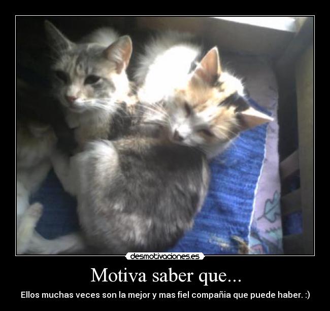 Motiva saber que... -