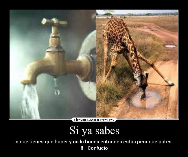 Si ya sabes - lo que tienes que hacer y no lo haces entonces estás peor que antes. !! Confucio