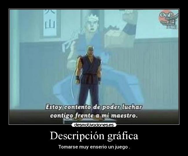 Descripción gráfica -