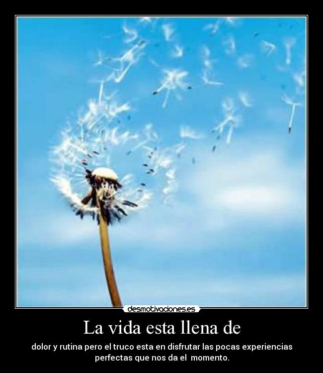 La vida esta llena de -