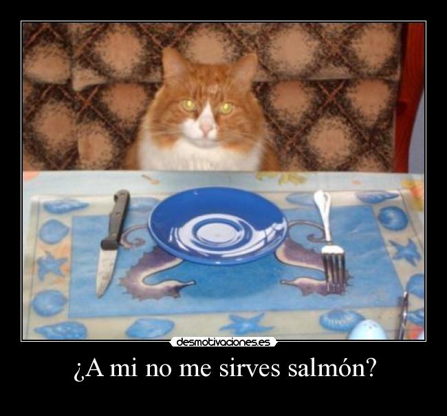 carteles eften gatitosdeefe desmotivaciones