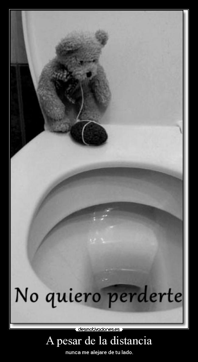 A pesar de la distancia - 