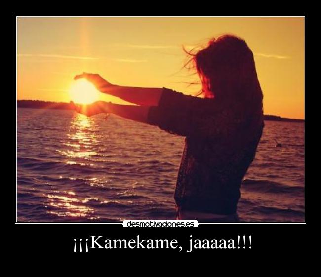 ¡¡¡Kamekame, jaaaaa!!! - 