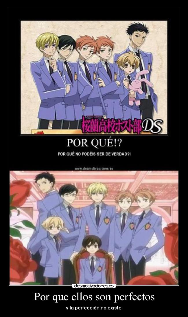 Por que ellos son perfectos - 