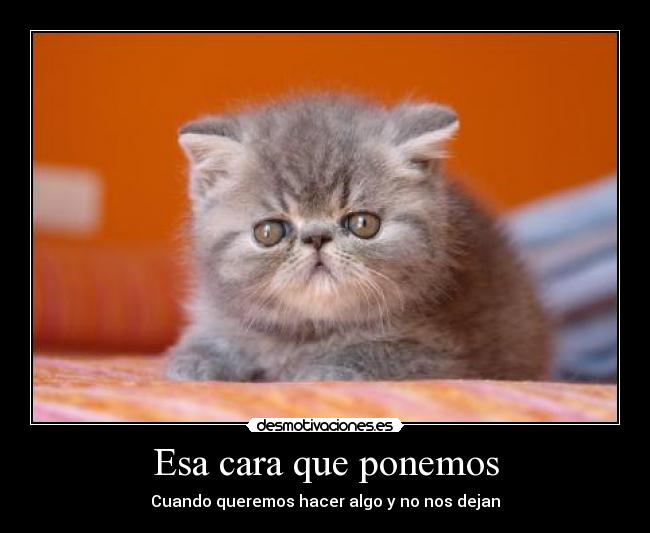 Esa cara que ponemos - 