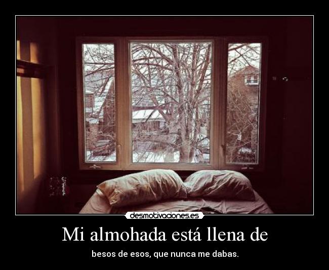 Mi almohada está llena de -