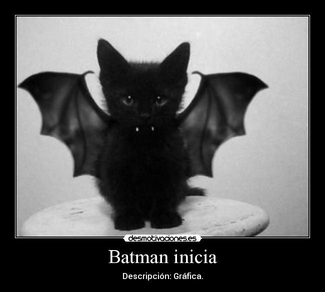 Batman inicia - Descripción: Gráfica.