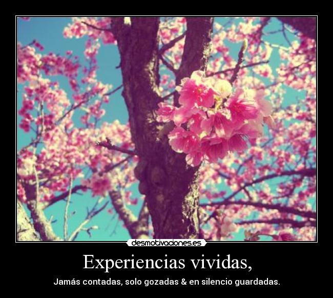 Experiencias vividas, - Jamás contadas, solo gozadas & en silencio guardadas.