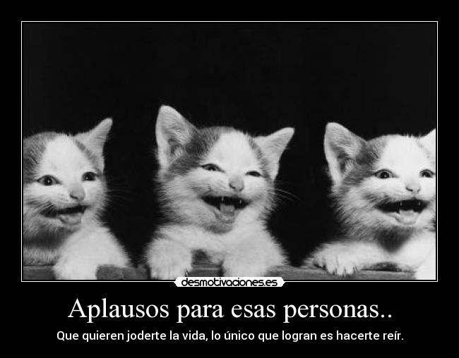 carteles nomitaangelita desmotivaciones