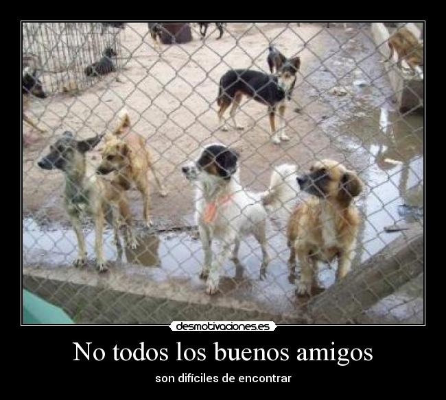 No todos los buenos amigos -