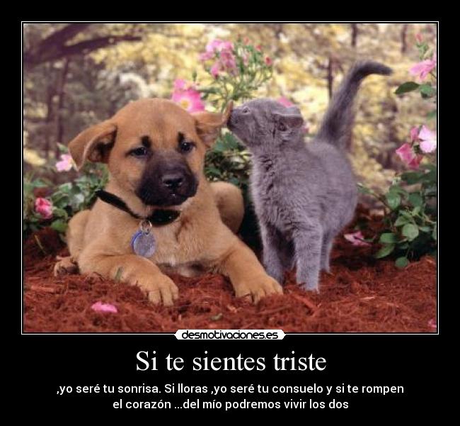 Si te sientes triste -