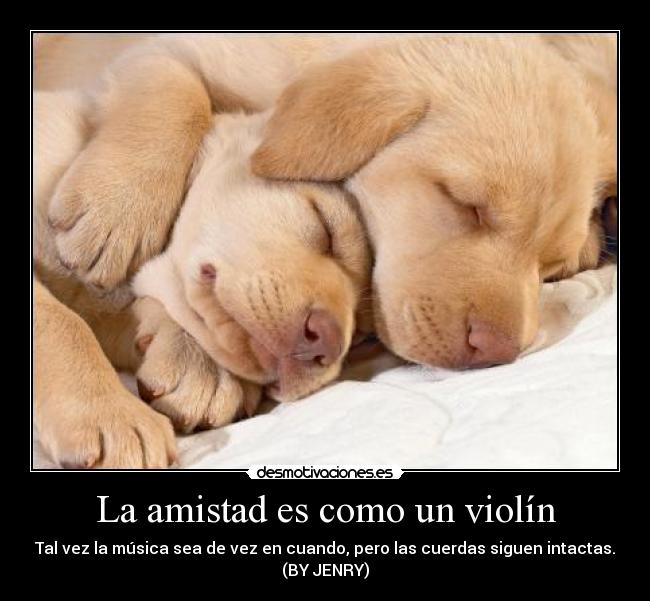 La amistad es como un violín - 