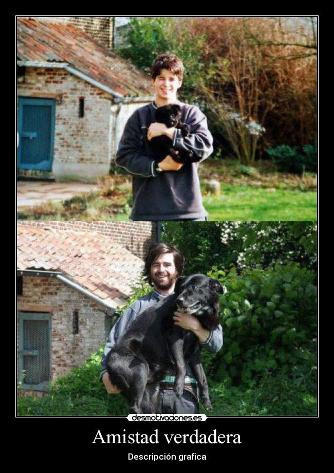 Amistad verdadera - Descripción grafica