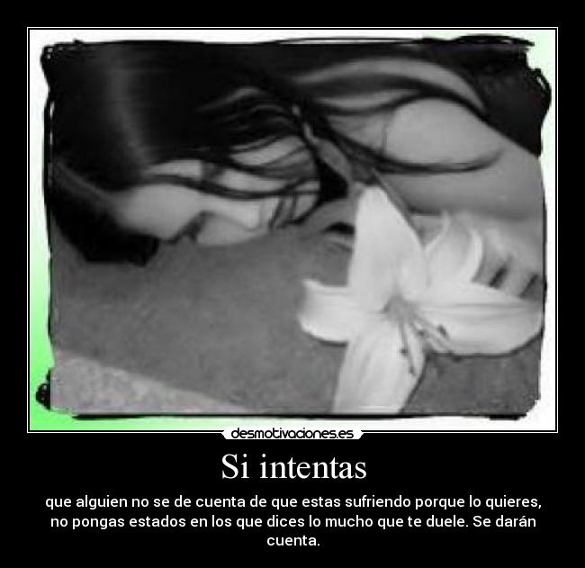 Si intentas -