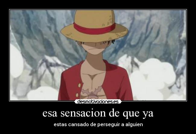 carteles one piece luffy veranito wiiiiiiiiiiiiiii desmotivaciones