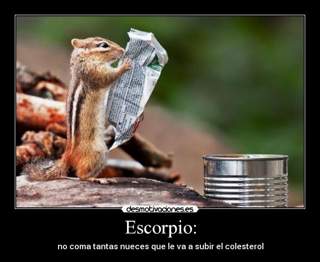 Escorpio: - no coma tantas nueces que le va a subir el colesterol