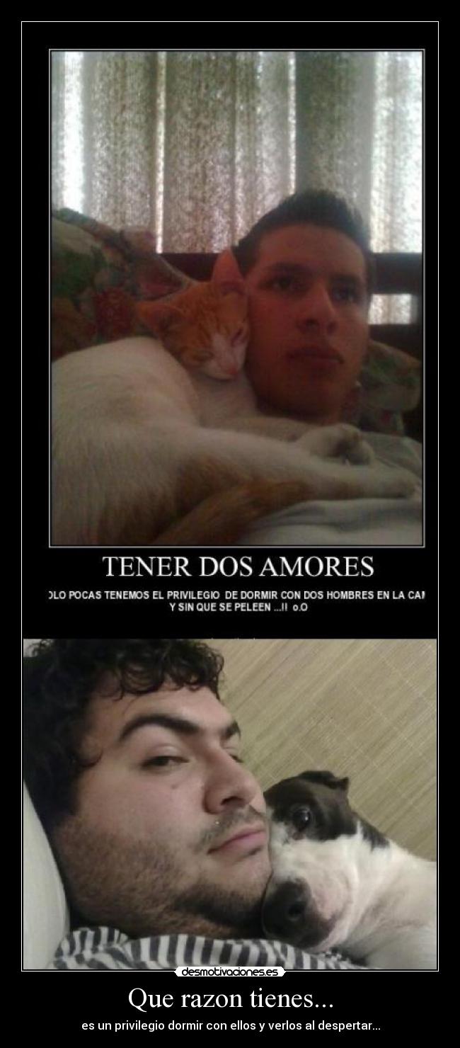 Que razon tienes... - es un privilegio dormir con ellos y verlos al despertar...