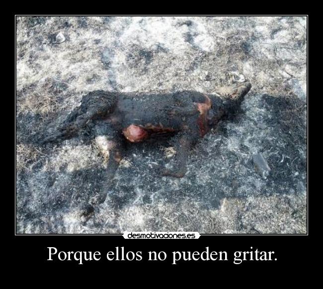 Porque ellos no pueden gritar. -