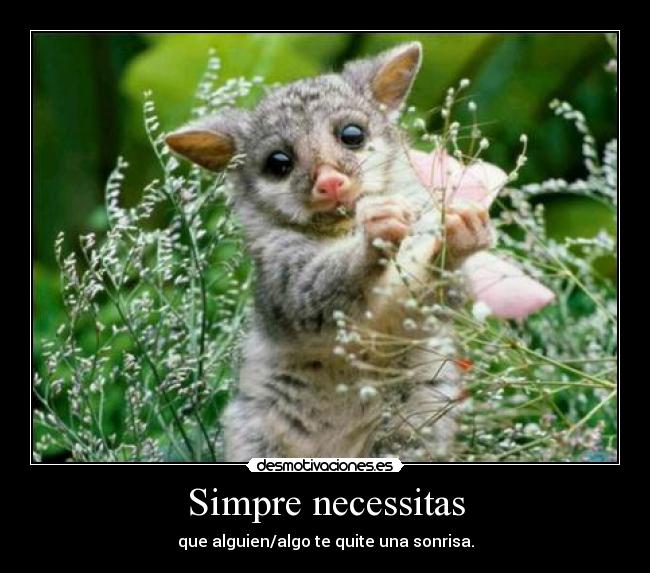 carteles siempre necessitas que alguien quite una sonrisa desmotivaciones