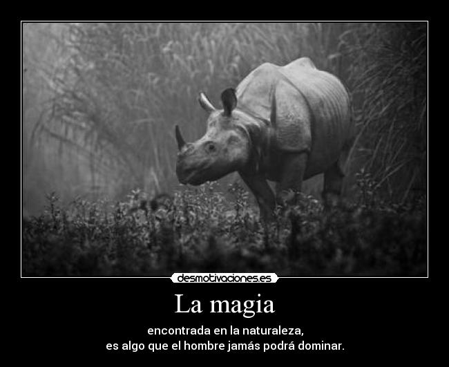 La magia - encontrada en la naturaleza,
es algo que el hombre jamás podrá dominar.