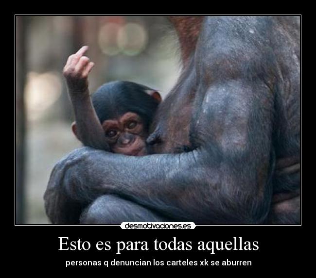 Esto es para todas aquellas -