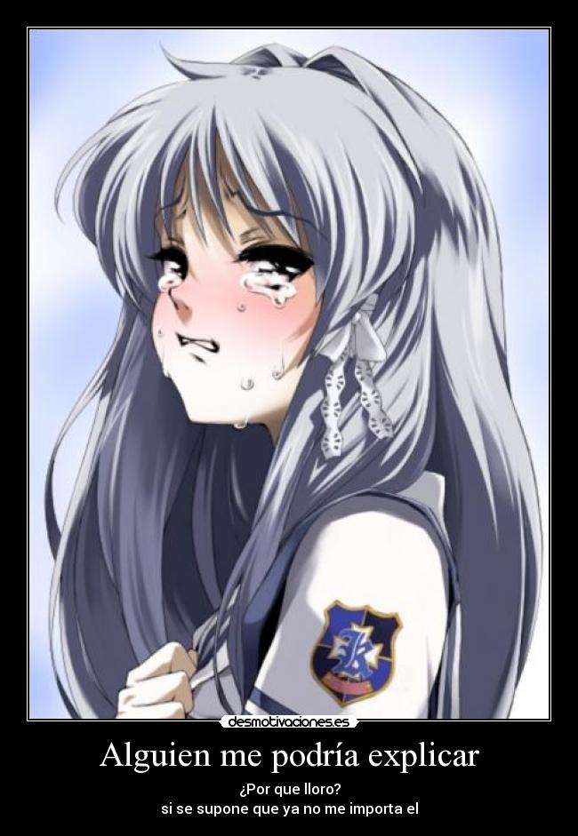 carteles alguien podria explicar por que lloro supone que importa desmotivaciones