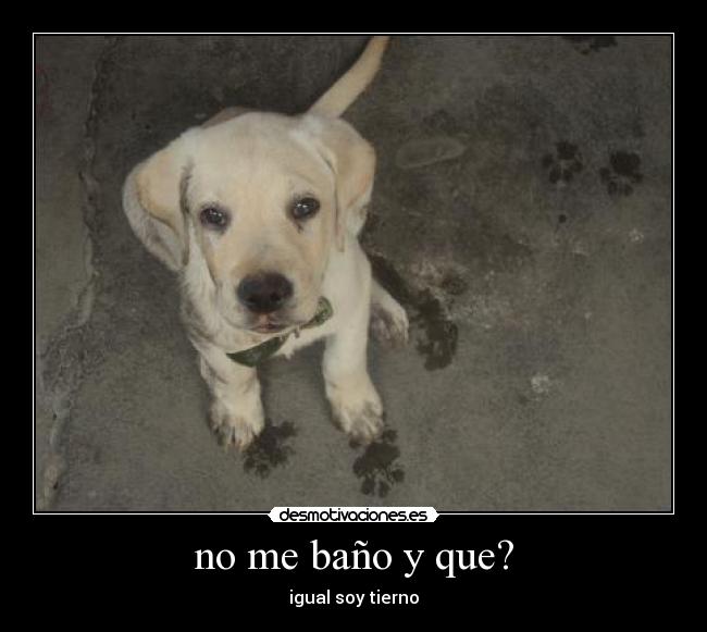 no me baño y que? - igual soy tierno