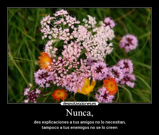 Nunca, - des explicaciones a tus amigos no lo necesitan,
tampoco a tus enemigos no se lo creen