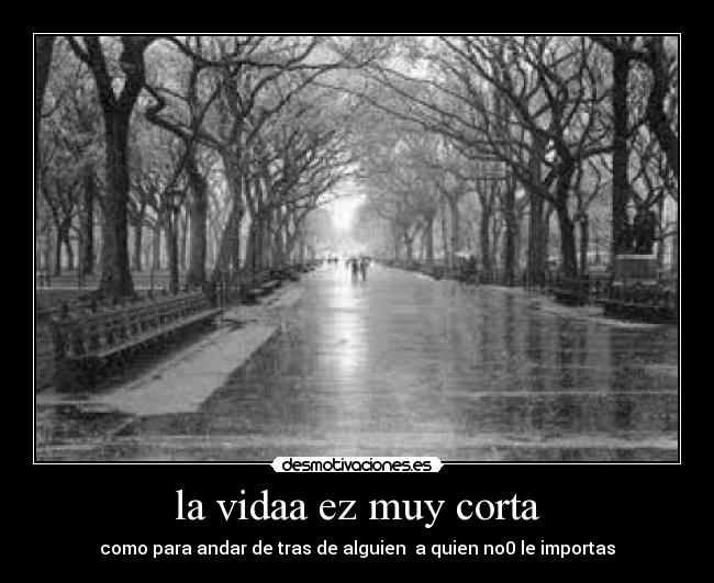 carteles  desmotivaciones